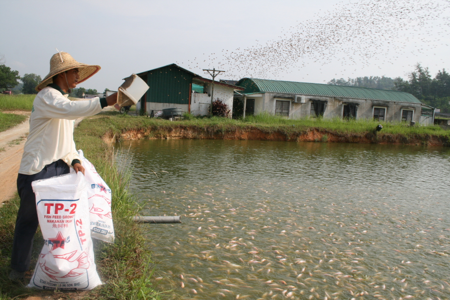 Charoen Pokphand Malaysia