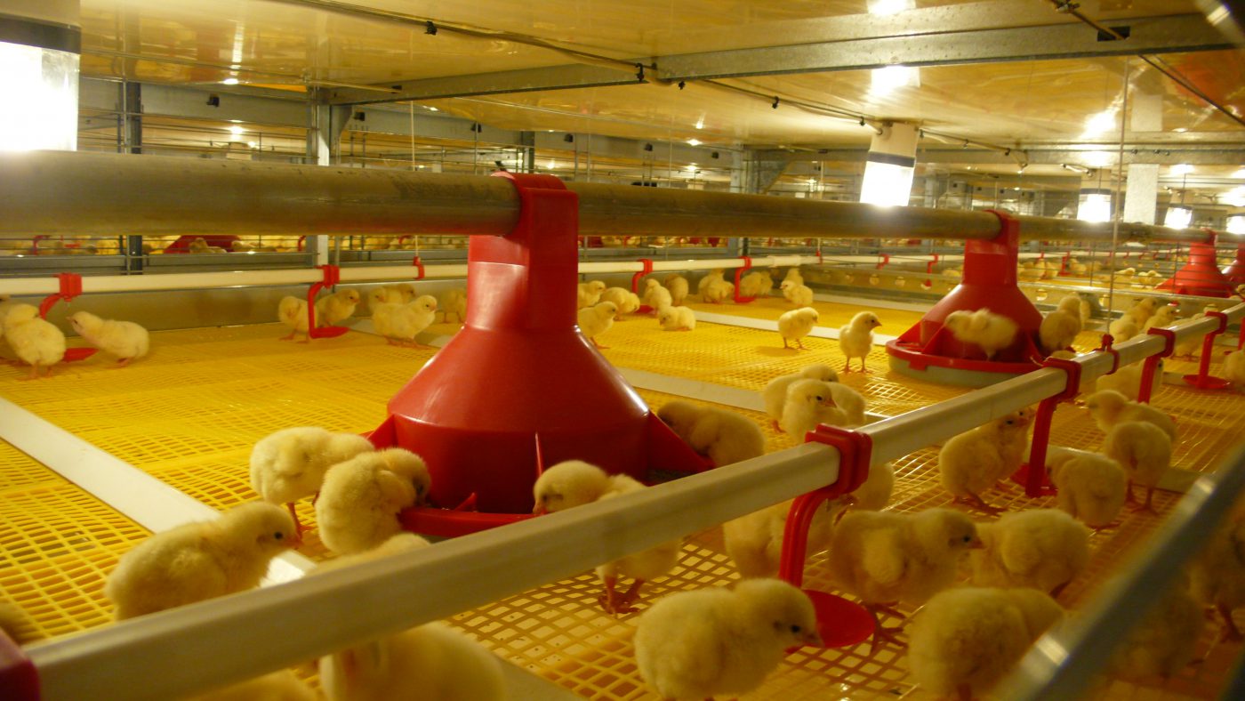 Charoen Pokphand Malaysia