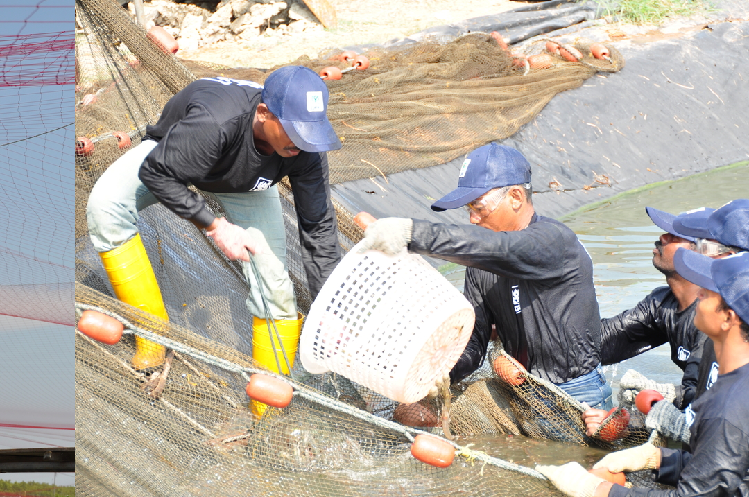 Charoen Pokphand Malaysia