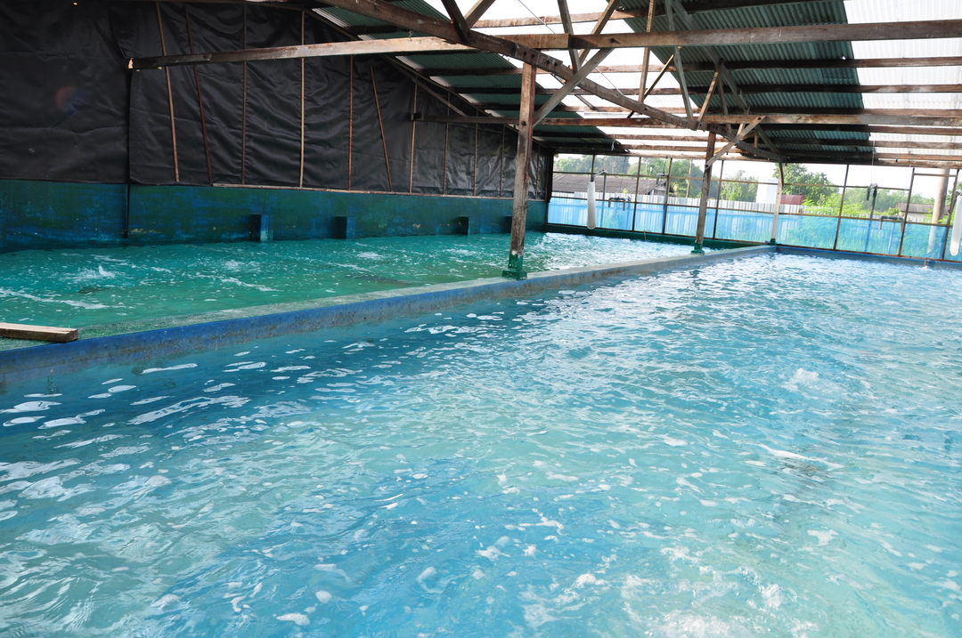 Charoen Pokphand Malaysia