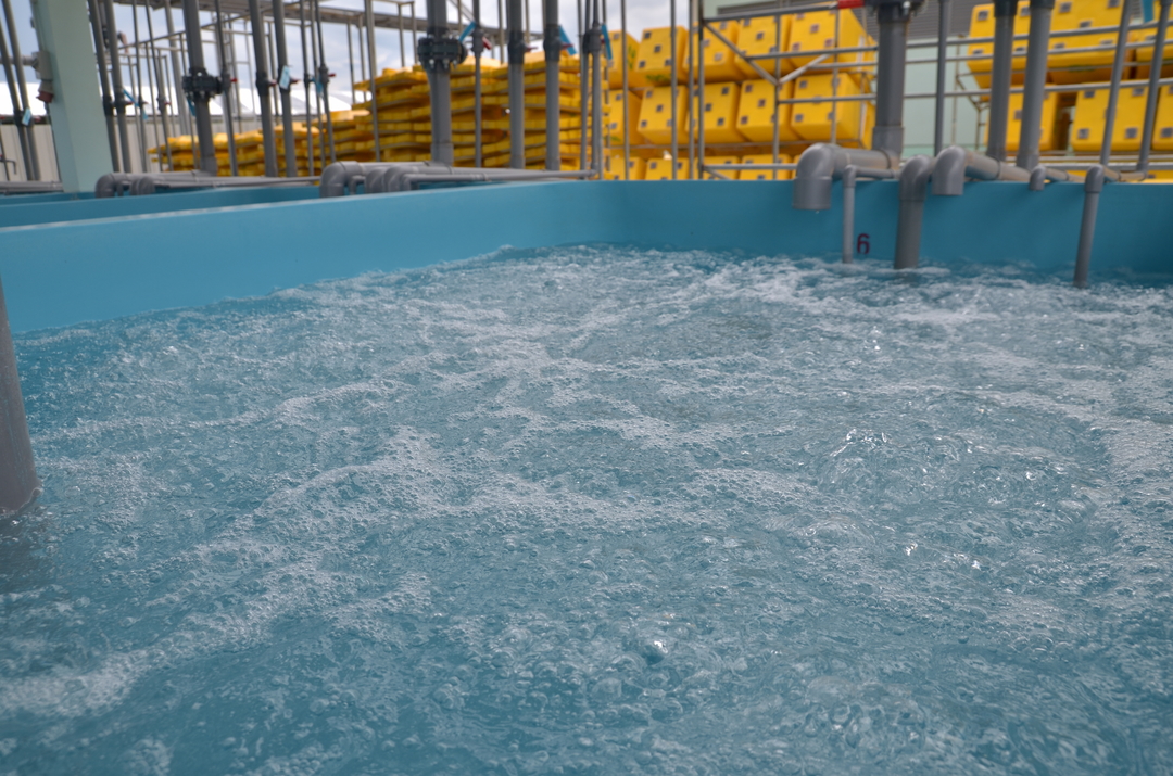 Charoen Pokphand Malaysia