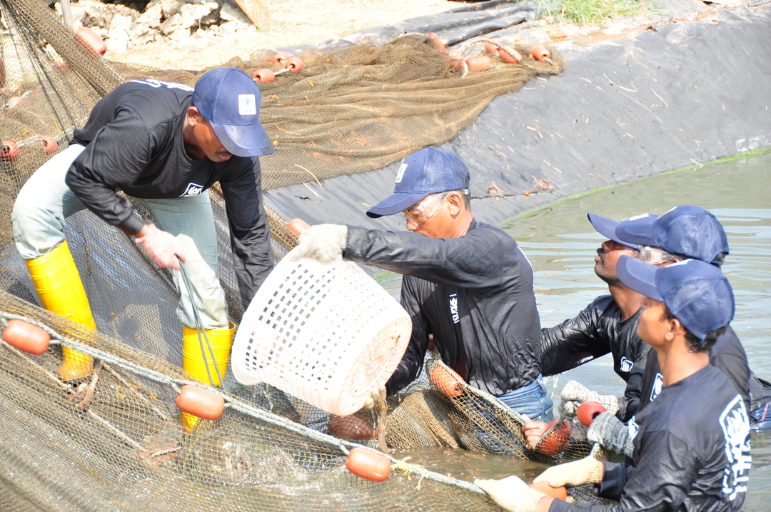 Charoen Pokphand Malaysia