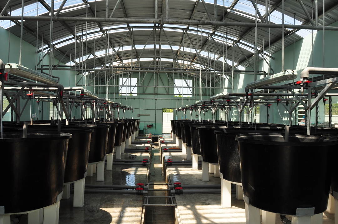 Charoen Pokphand Malaysia