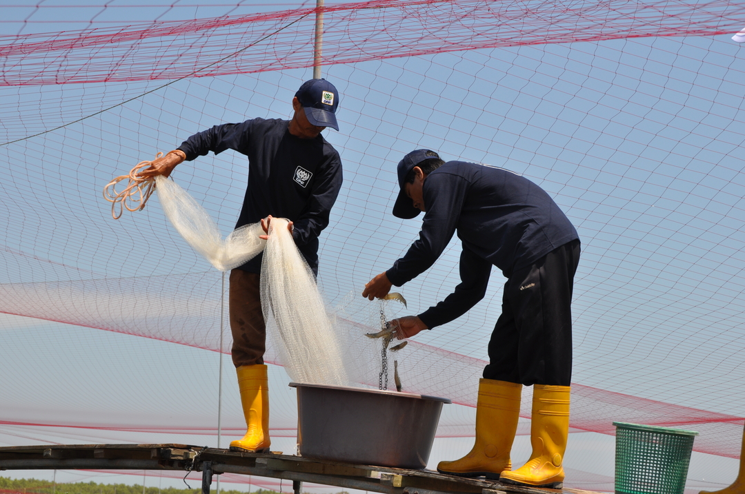 Charoen Pokphand Malaysia