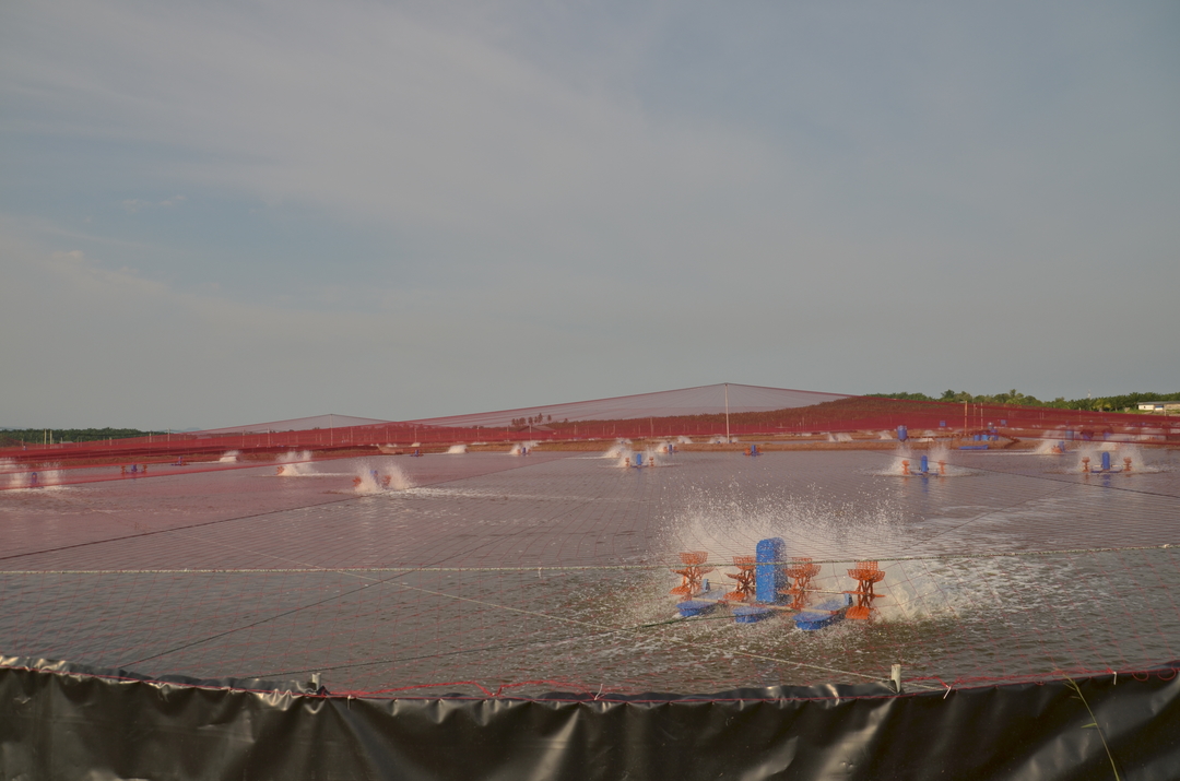 Charoen Pokphand Malaysia