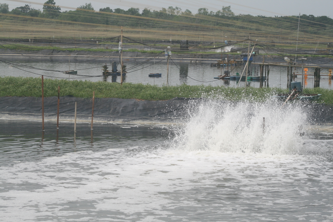Charoen Pokphand Malaysia