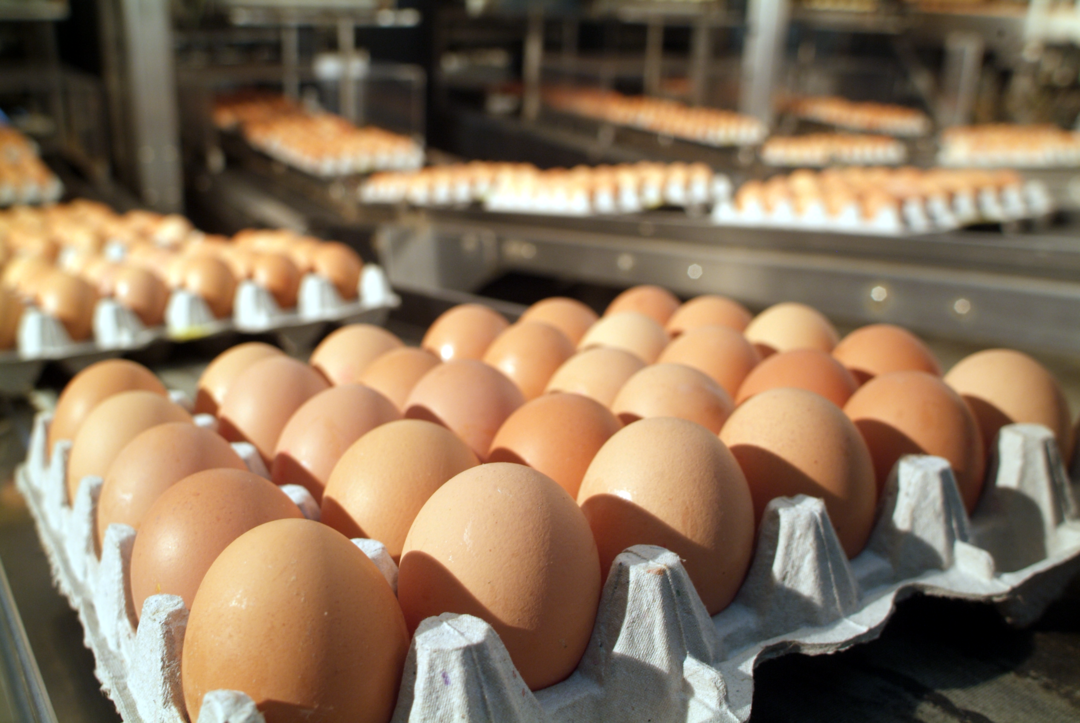 Charoen Pokphand Malaysia