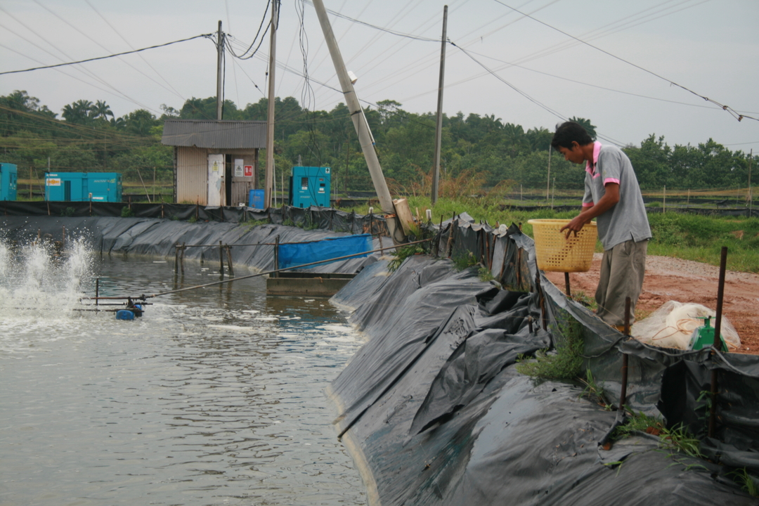 Charoen Pokphand Malaysia
