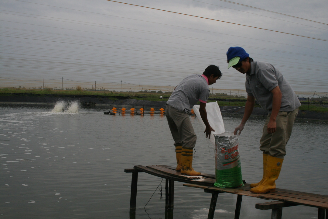 Charoen Pokphand Malaysia