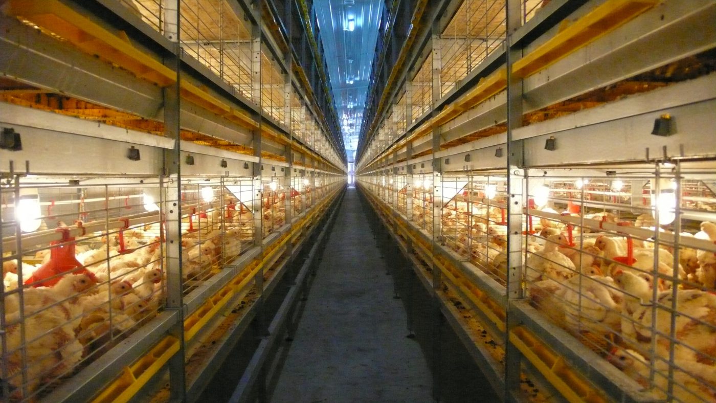 Charoen Pokphand Malaysia