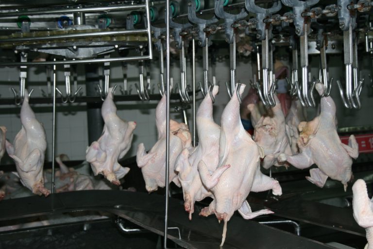 Processing Plant Charoen Pokphand Malaysia